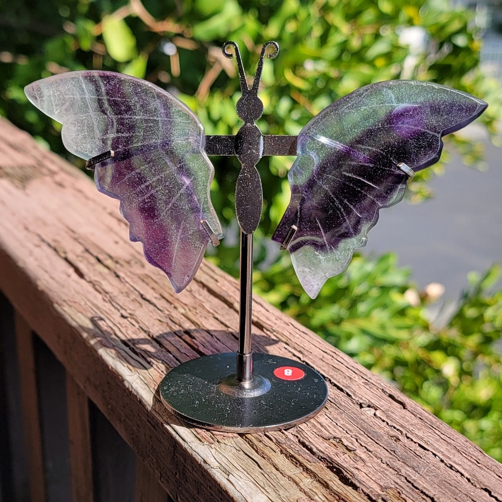 (C) NEW 4.5" x 4.5" FLUORITE WINGS